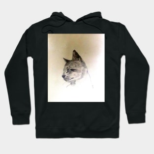 Pet Cat In Pencil Hoodie